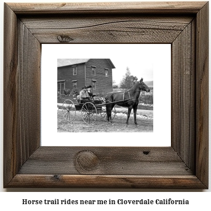 horse trail rides near me in Cloverdale, California